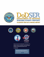 CY 2013 DoDSER Annual Report