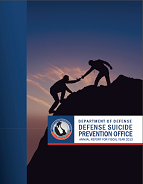 DSPO FY2013 Annual Report