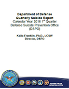 DoD Quarterly Report CY2011 Q1